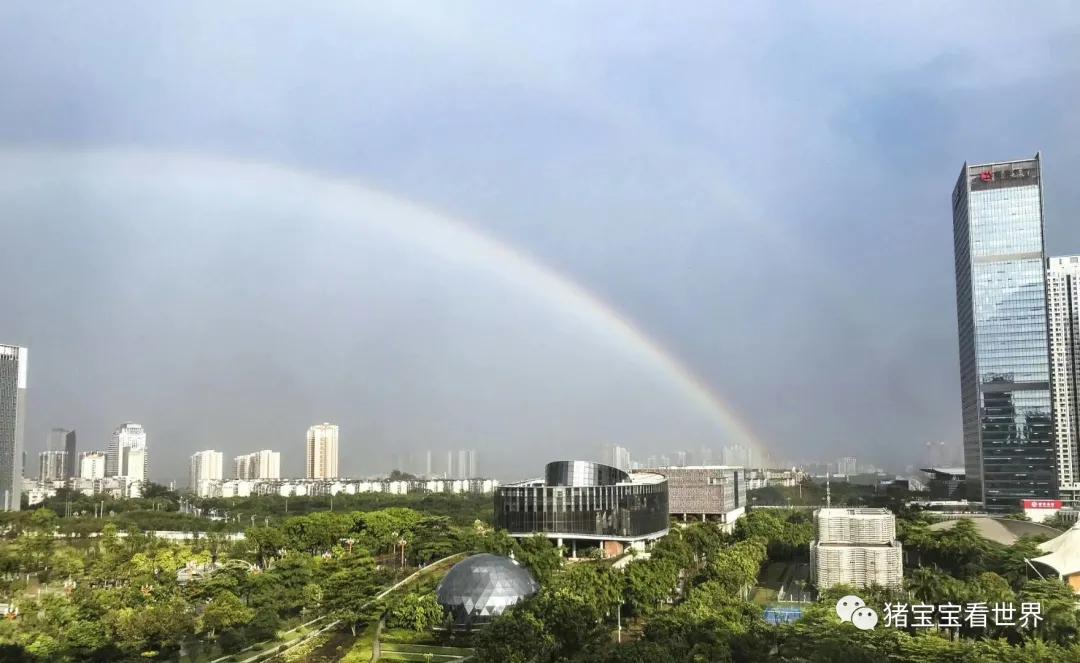 偌大的城市我的栖身之处在何处,偌大的城市容不下一个漂泊的灵魂