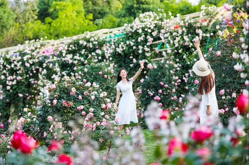 周边有什么可逛的地方吗,4月适合去哪儿旅游攻略