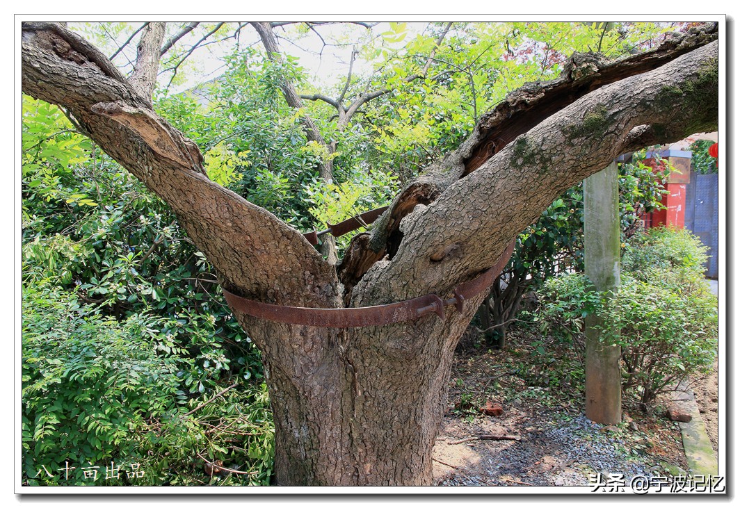 镇海十大古村落,宁波镇海区骆驼街道清水湖村