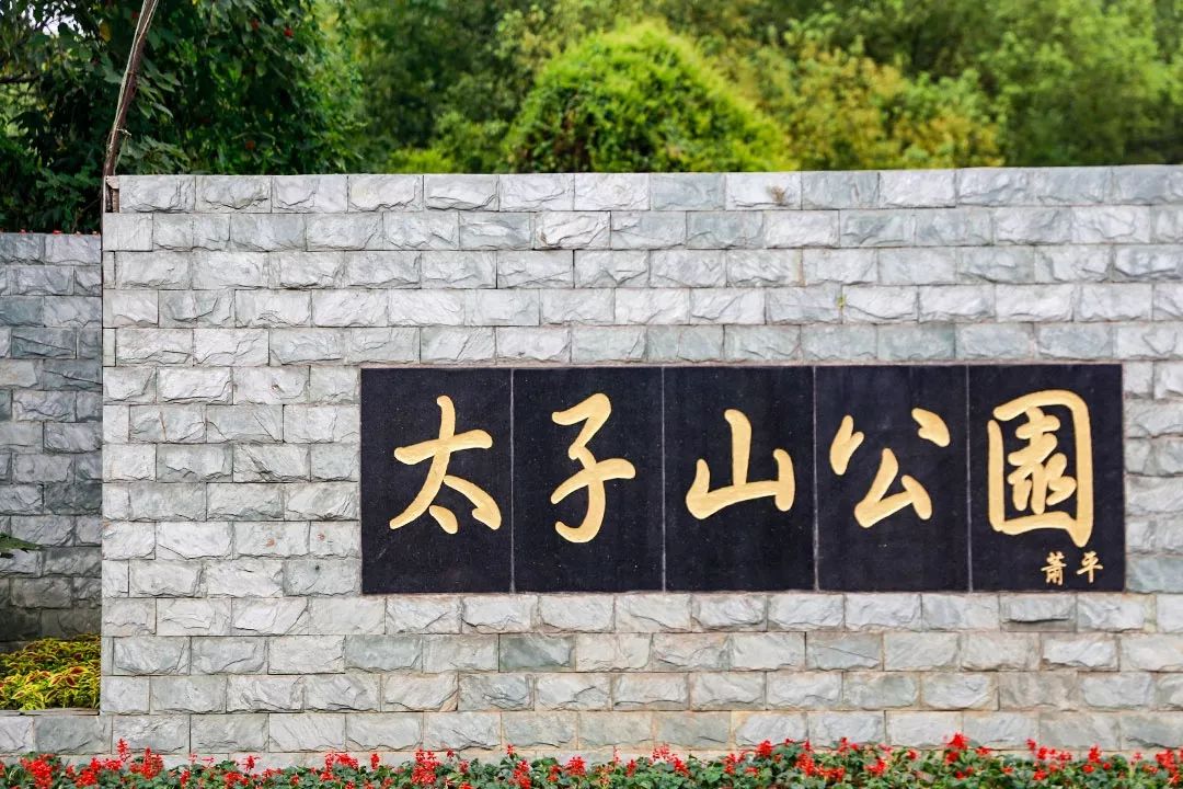 南京这些免费公园，让你任性玩个遍