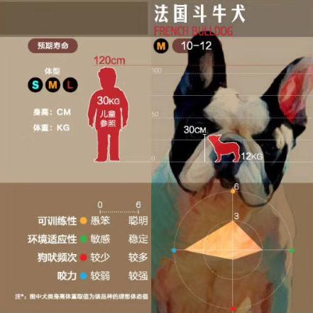 狗狗大讲堂,狗狗们上课去学校