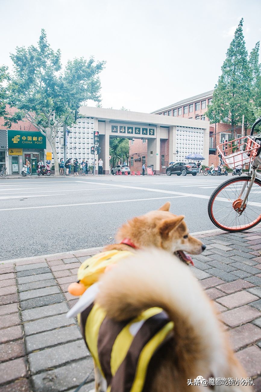 高考择校tips,高考择校指导985211