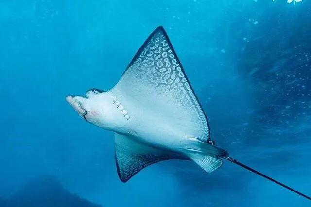 深圳暑假值得带孩子旅游的地方,深圳十大暑假室内必去景点