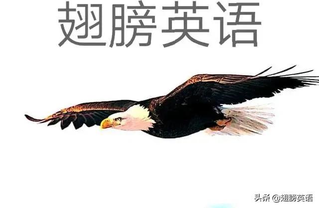 高考英语要掌握多少个单词,高考英语120个句子