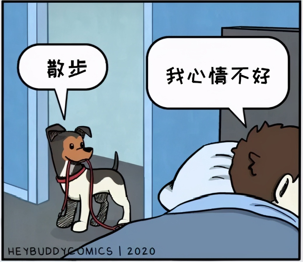 铲屎官和狗子的漫画,铲屎官和狗子们漫画