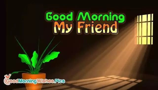 印度人表情包,印度人的表情包