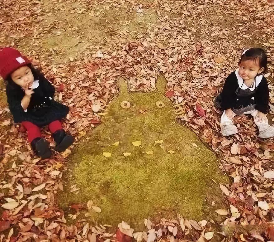 用枯枝落叶做成的简单艺术品,幼儿园秋天的落叶艺术品