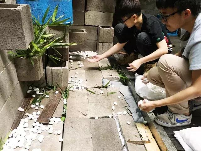 不到园林怎知春色如许的典故由来,不入园林怎么知春色如许下一句