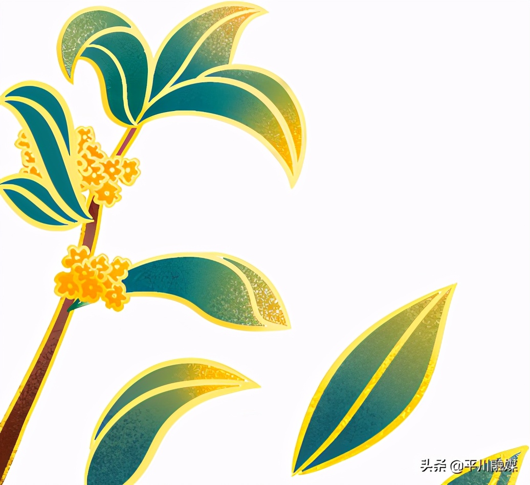 开发区关爱老人温暖重阳,重阳敬老情温暖老人心图片