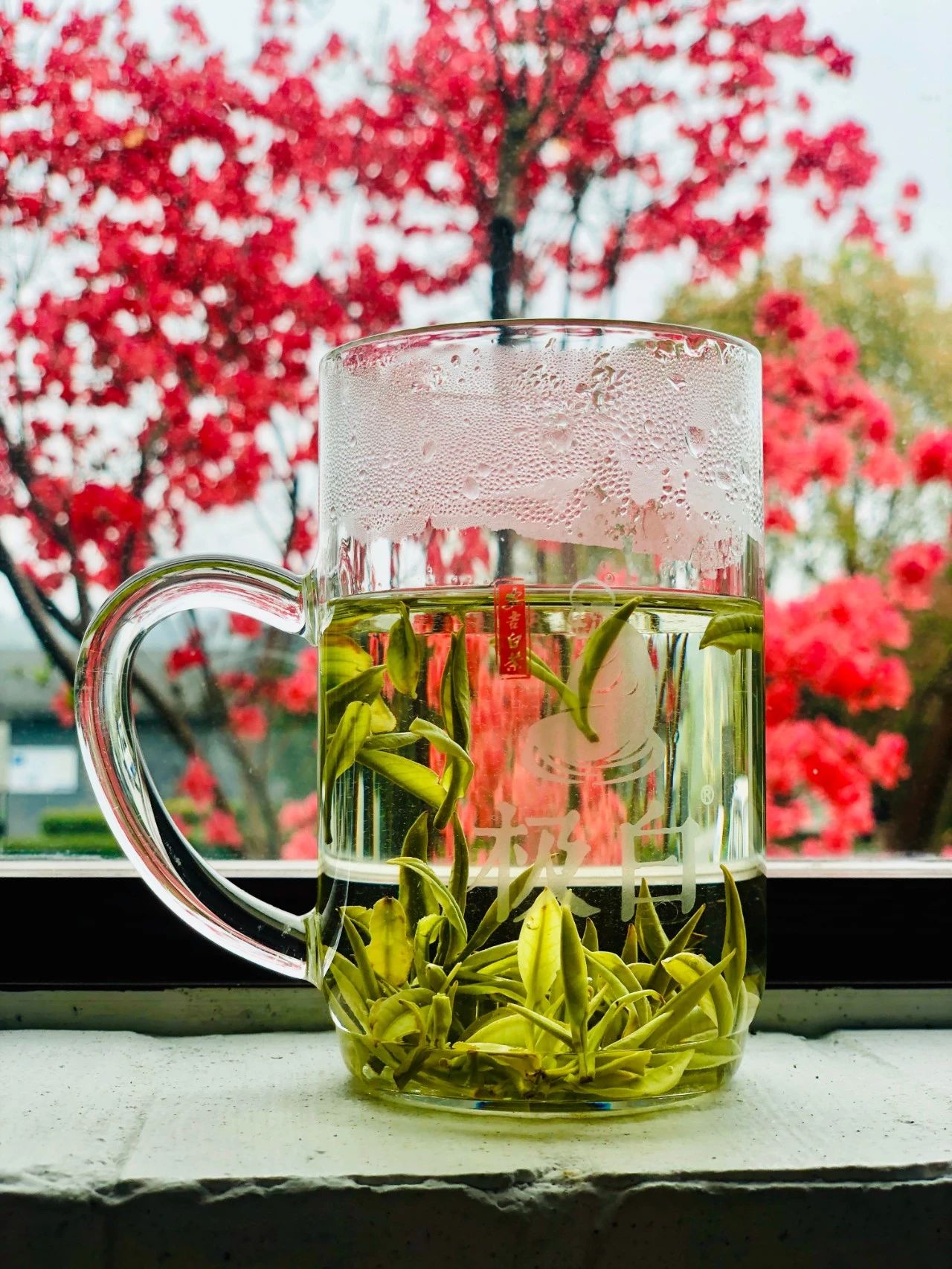 安吉城堡酒店主题房间,安吉带小孩子玩的度假酒店