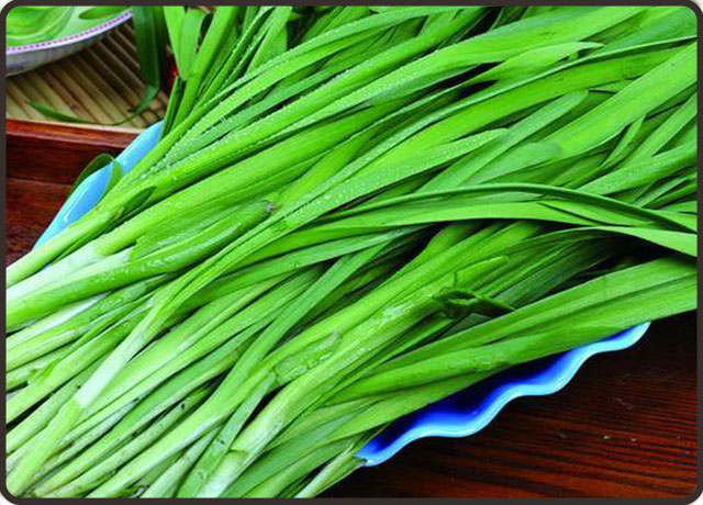 被称为壮阳草的韭菜真的是“壮阳草”吗?韭菜哪类人群不宜多吃