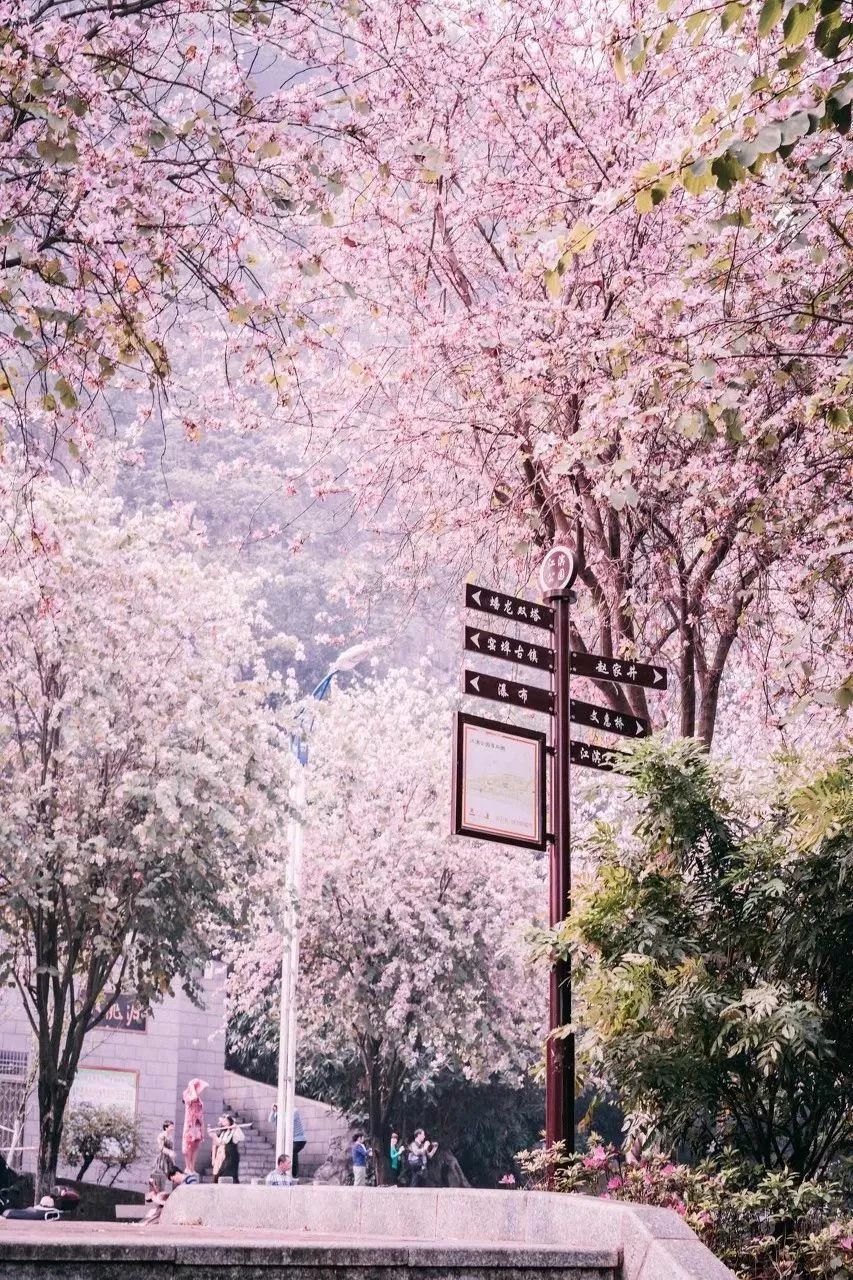 广西有座小城,广西这个宜居小城很低调