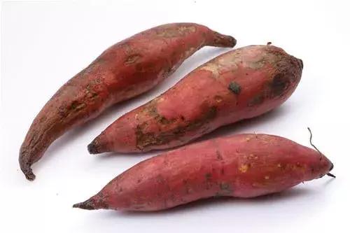 什么菜是有毒的但老百姓都在吃,浙江人警惕这3种菜有毒千万别吃