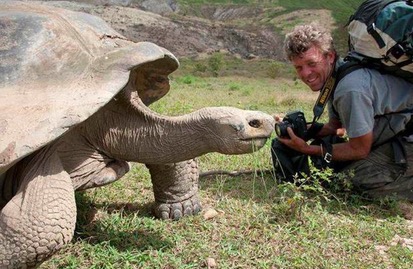 世界上最大的龟将近2000斤,世界上最大的体型的龟