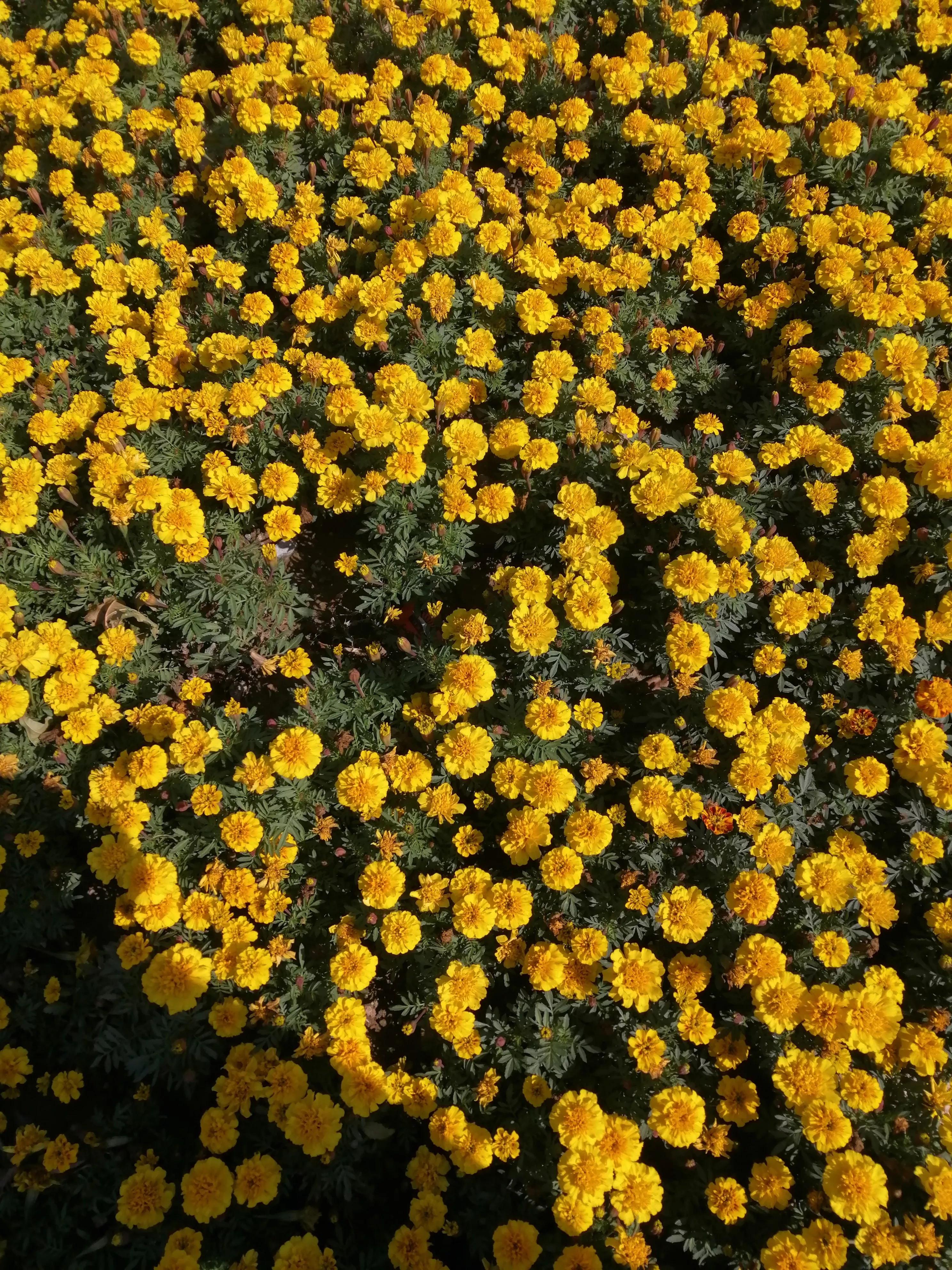 如何不焦虑的办法,如何不焦虑内耗