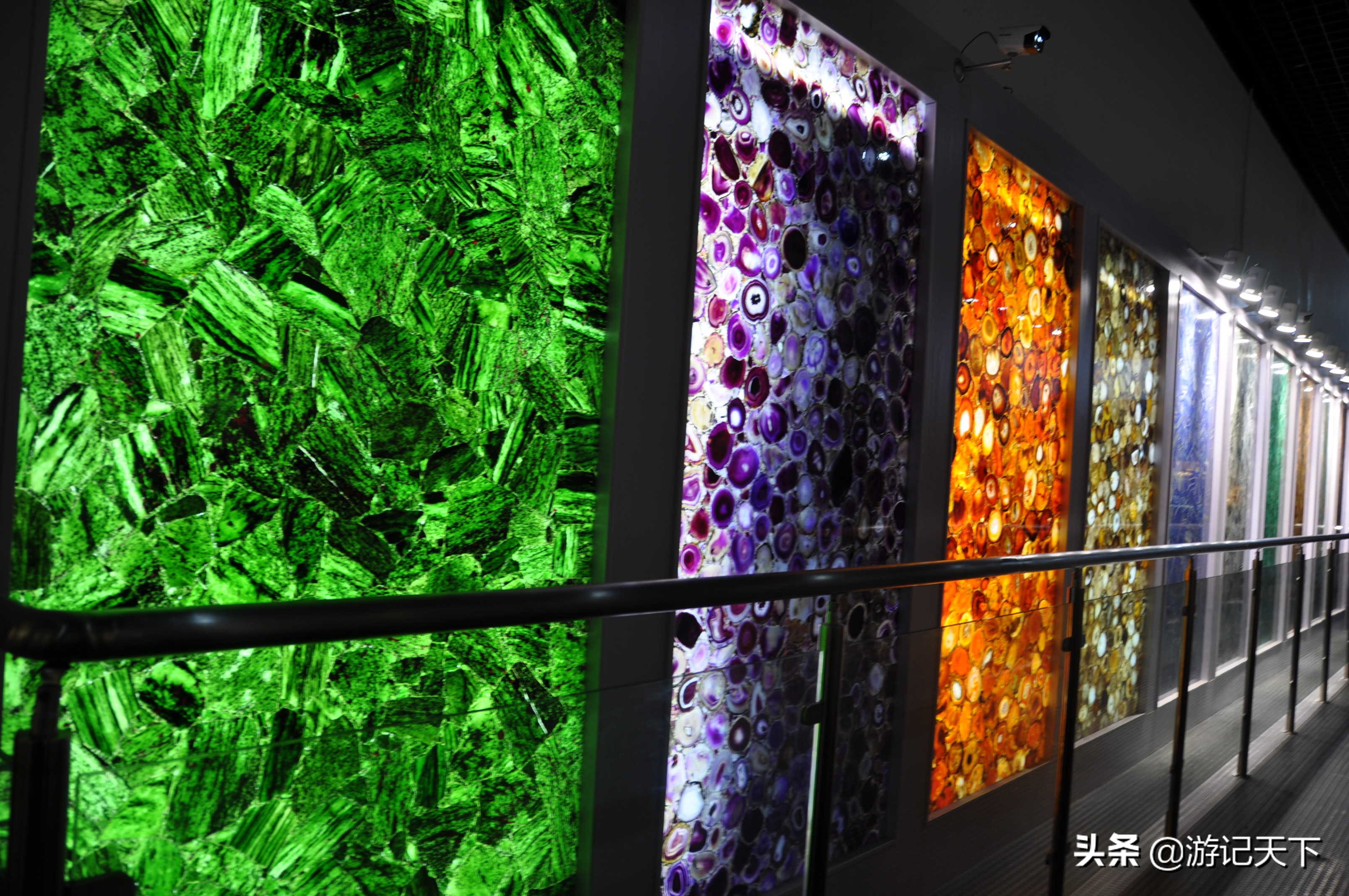 阿尼亚参观博物馆,上海地质科普馆游玩