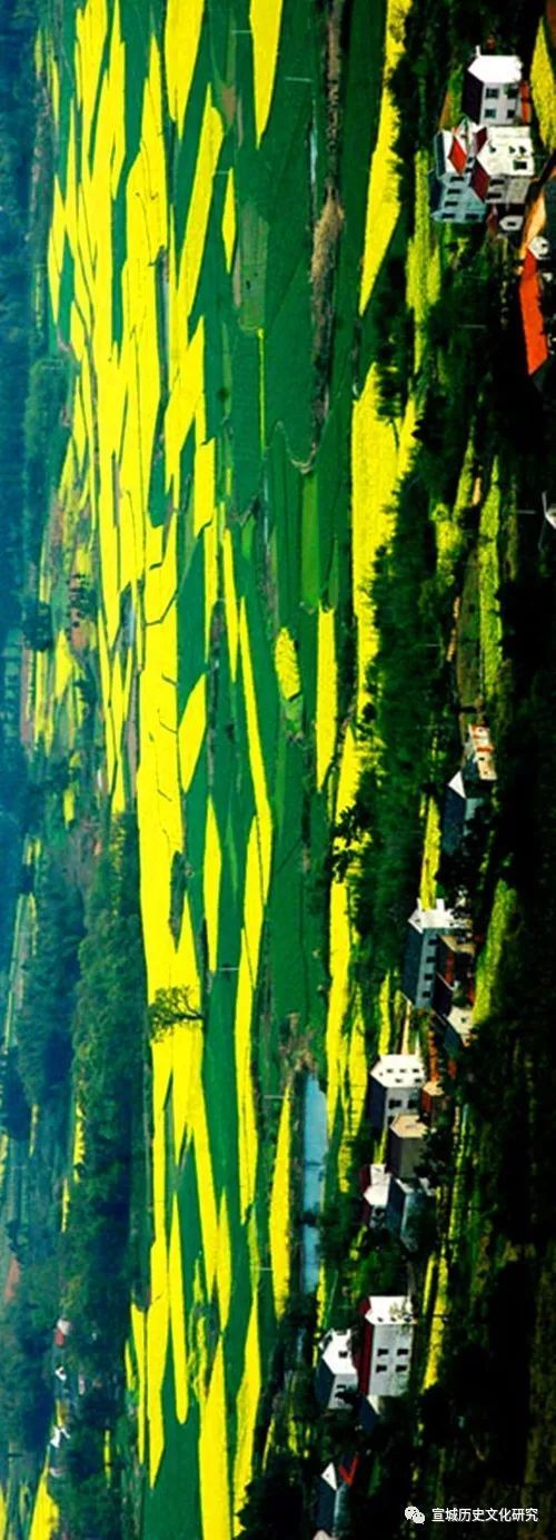 广德历代人口变化分析,广德县近10年人口变化