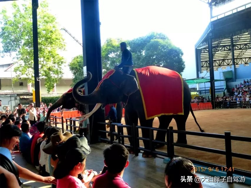 泰国风情之旅完整版小说,泰国风情十日游