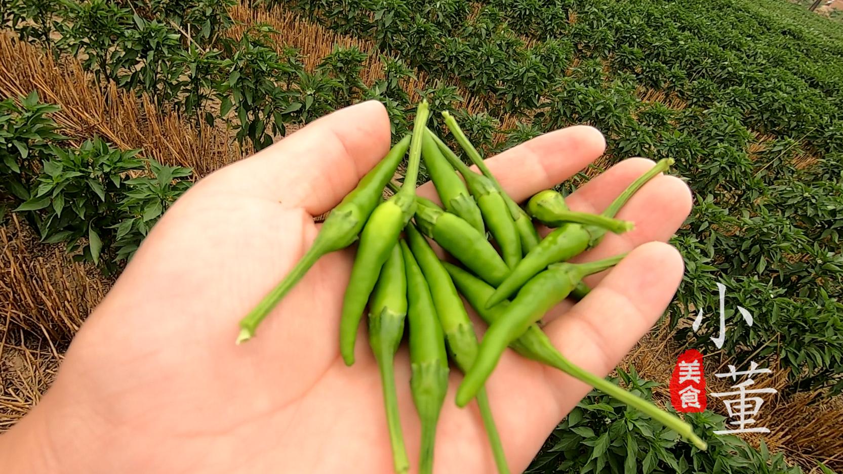 制作濮阳的美食,濮阳美食下饭菜