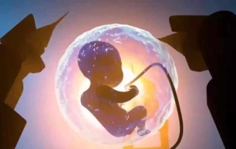 17周胎停育有什么症状,孕中期胎停育的症状有哪些呢