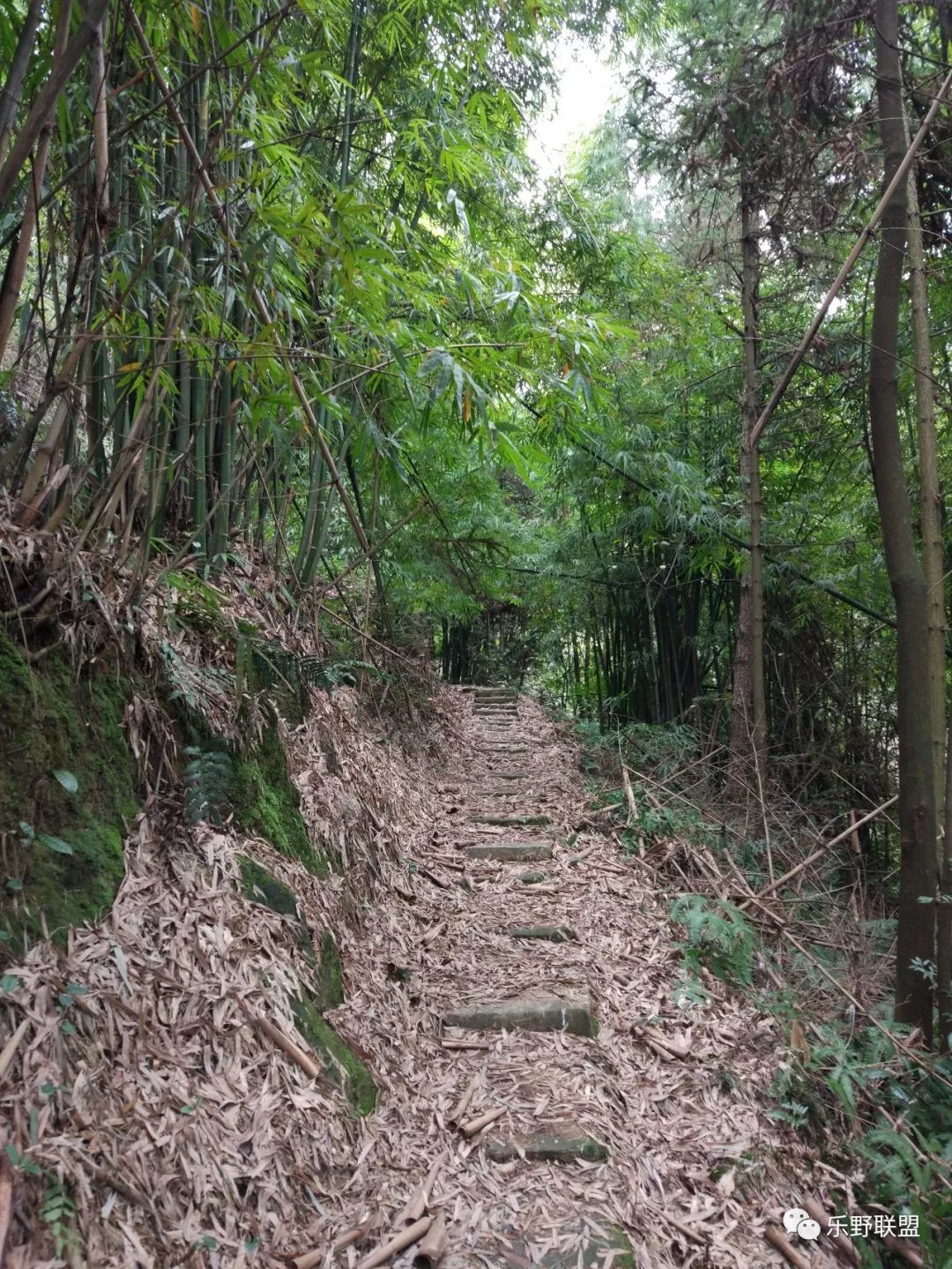 「乐野求生课」6月22重庆游龙山徒步越野报名