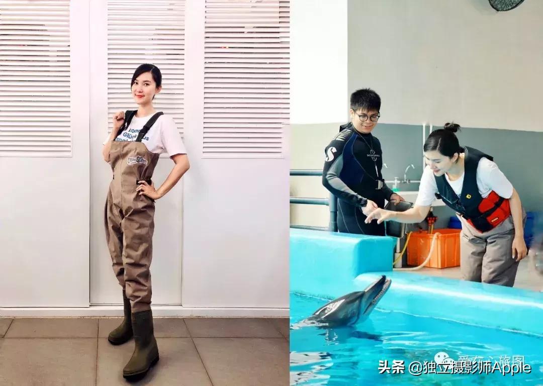 香港海洋公园自由行游玩攻略,香港旅游攻略香港海洋公园