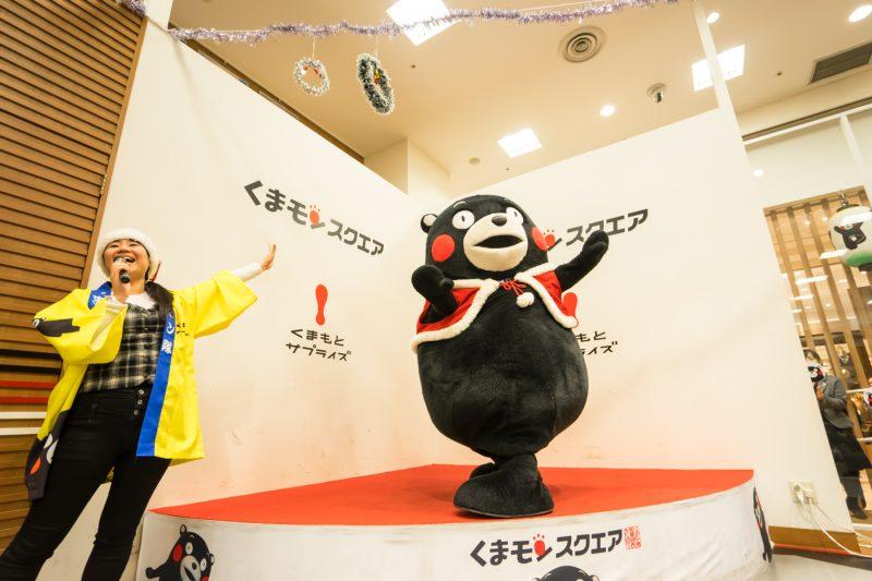 比大熊猫还濒危的小熊猫,比熊猫更稀有的小熊