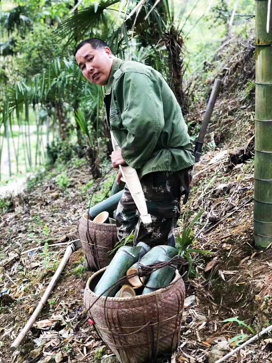 润之竹竹筒酒正宗竹叶青,竹叶青酒竹筒酒怎么制作的