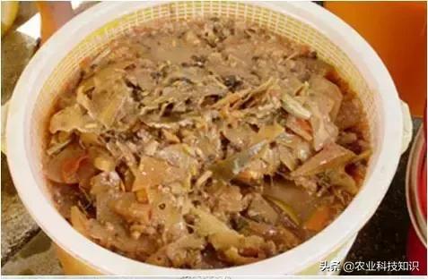 酵素制作，让厨余垃圾零废弃，秒变环保达人,内附制作方法