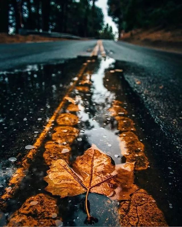 广东真的没有秋天凉吗,广东是没有秋天的吗文案