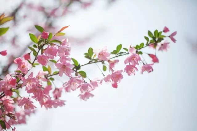 为了开出一张有质量的处方，得背背这个