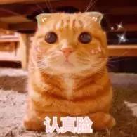 回购一百次！超好用的平价美白精华，谁说便宜没好货！