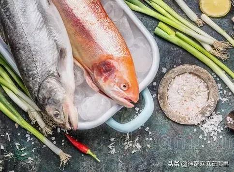 怎么选适合孩子吃的鱼,婴儿鱼泥什么牌子好