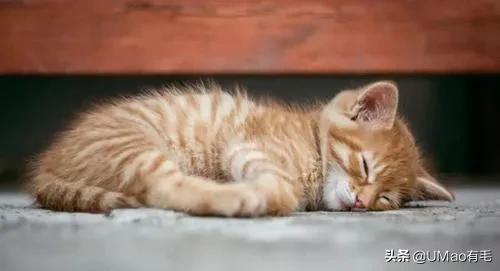 做好这几点远离呼吸道疾病,做好这八点让你轻松管理