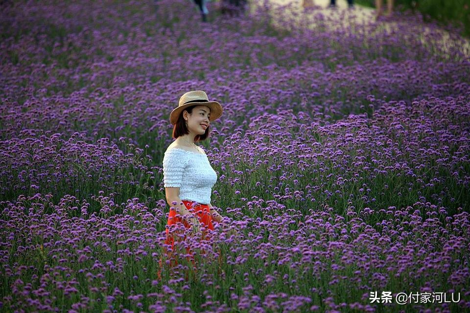 你感受过他的魅力吗,你体验过视觉盛宴吗