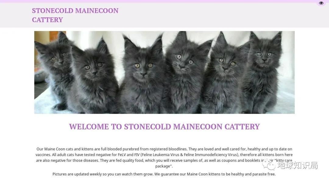 美国介入电信诈骗,电信诈骗盯上企事业单位