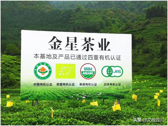 勇于创新创业致力发展有机茶的优秀女企业家——鲁润