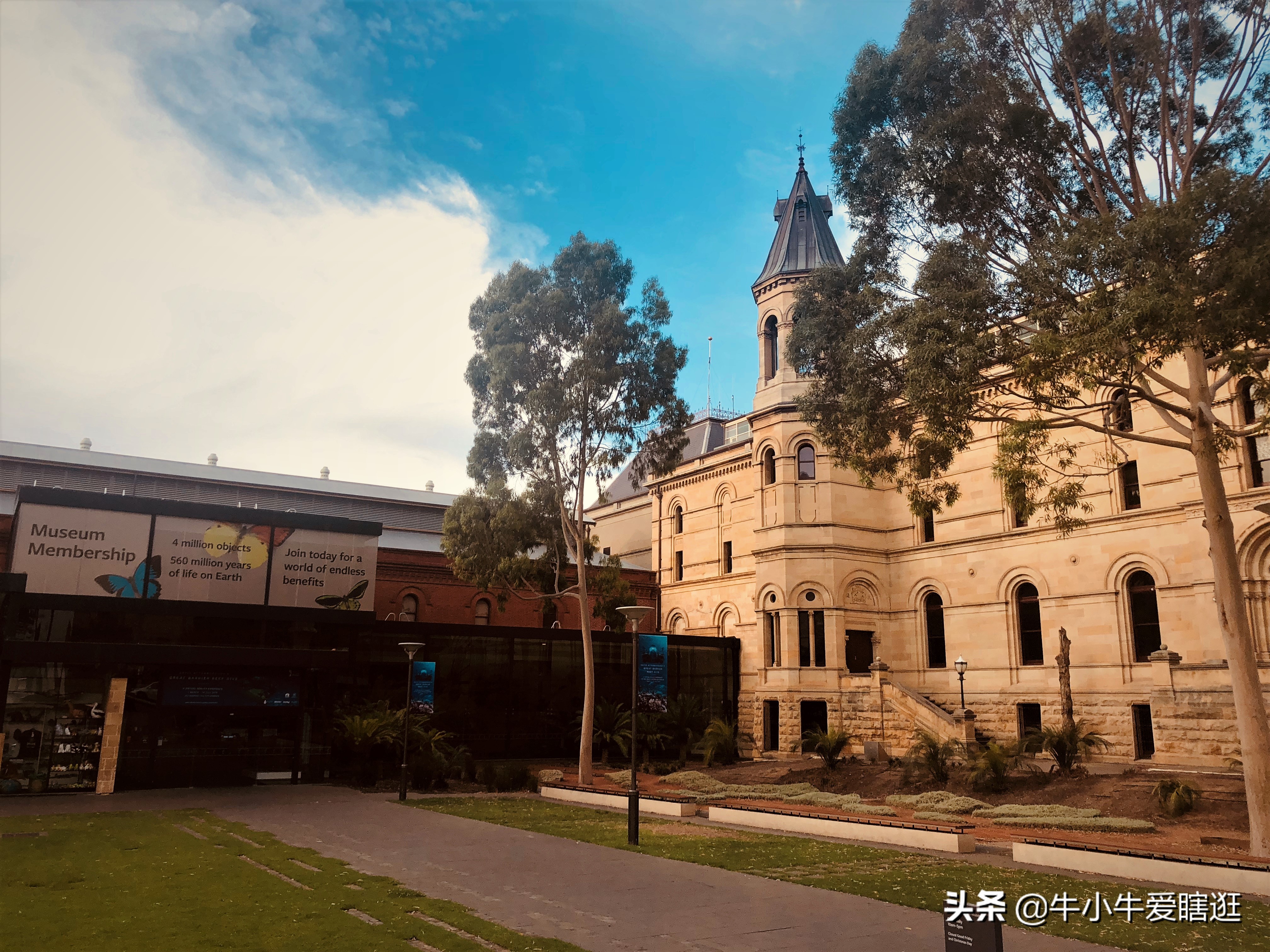 悉尼7日游自由行攻略,澳洲阿德莱德旅游攻略
