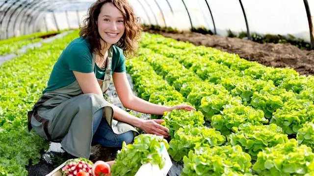 2021农村创业好项目利润,2020创业好项目农村投资小利润大