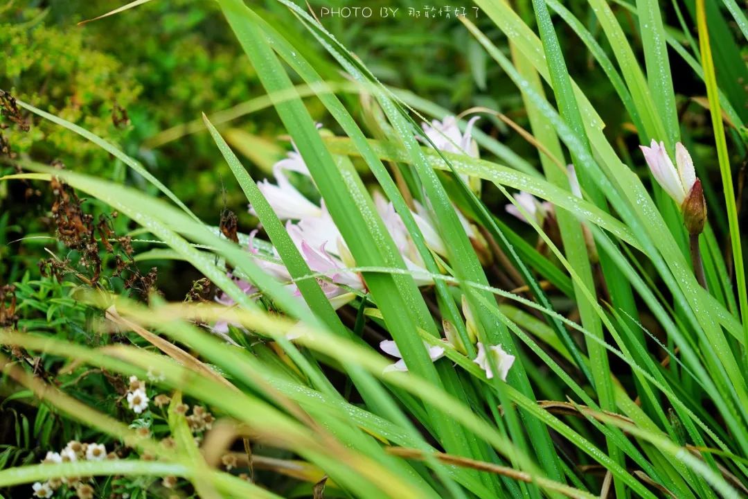 塔斯马尼亚幽灵之旅，夜访世界尽头190年历史闹鬼老监狱