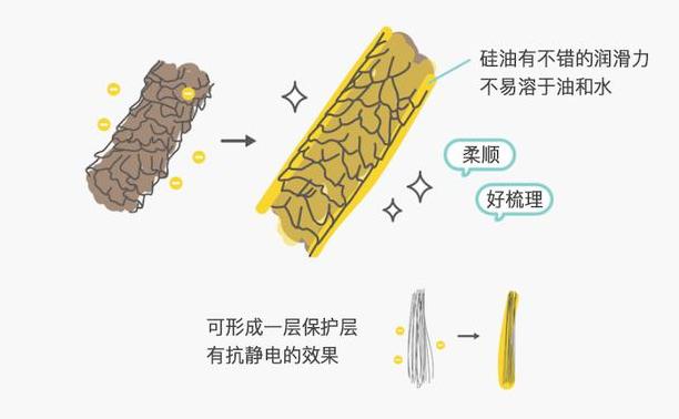 洗发水不同款式,洗发水不同系列的功效