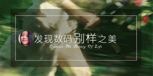 当年诺基亚拍照,当年的机皇诺基亚n81