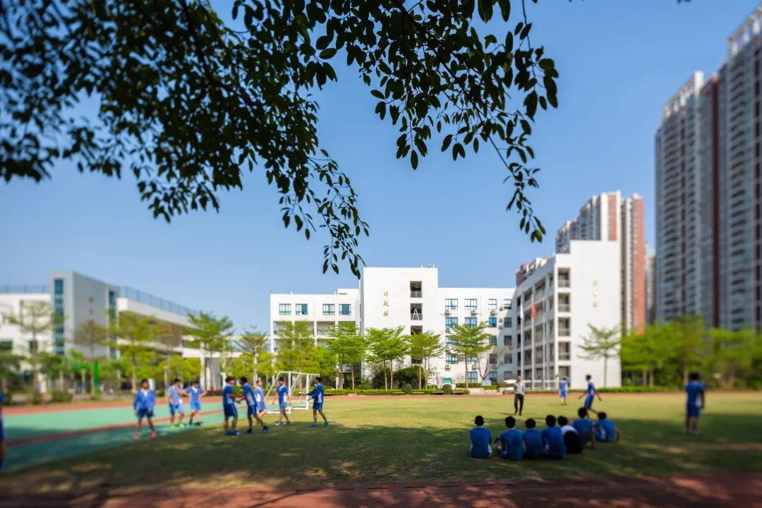 深中龙初入学积分,深圳中学初中部与深中龙初哪个好