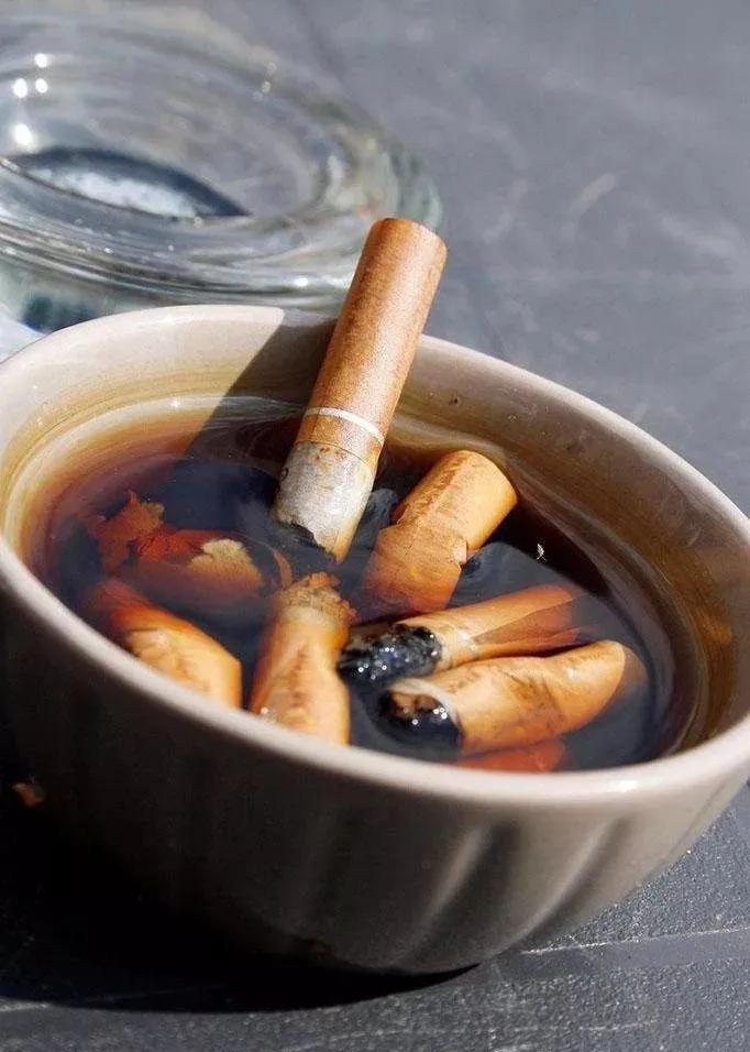 春天养花小黑飞,灭花盆黑小飞虫最简单的方法