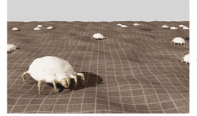 飞蚁大军空袭视频,飞蚁大军被空袭