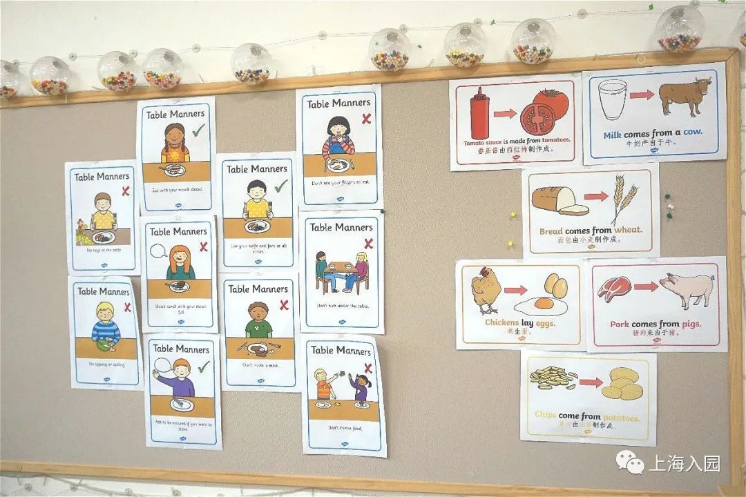 上海幼儿园入学条件2021新政策,上海幼儿园入学条件2022新政策