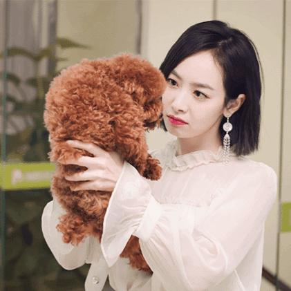 波波头波浪卷烫发,短发羊毛卷波波头