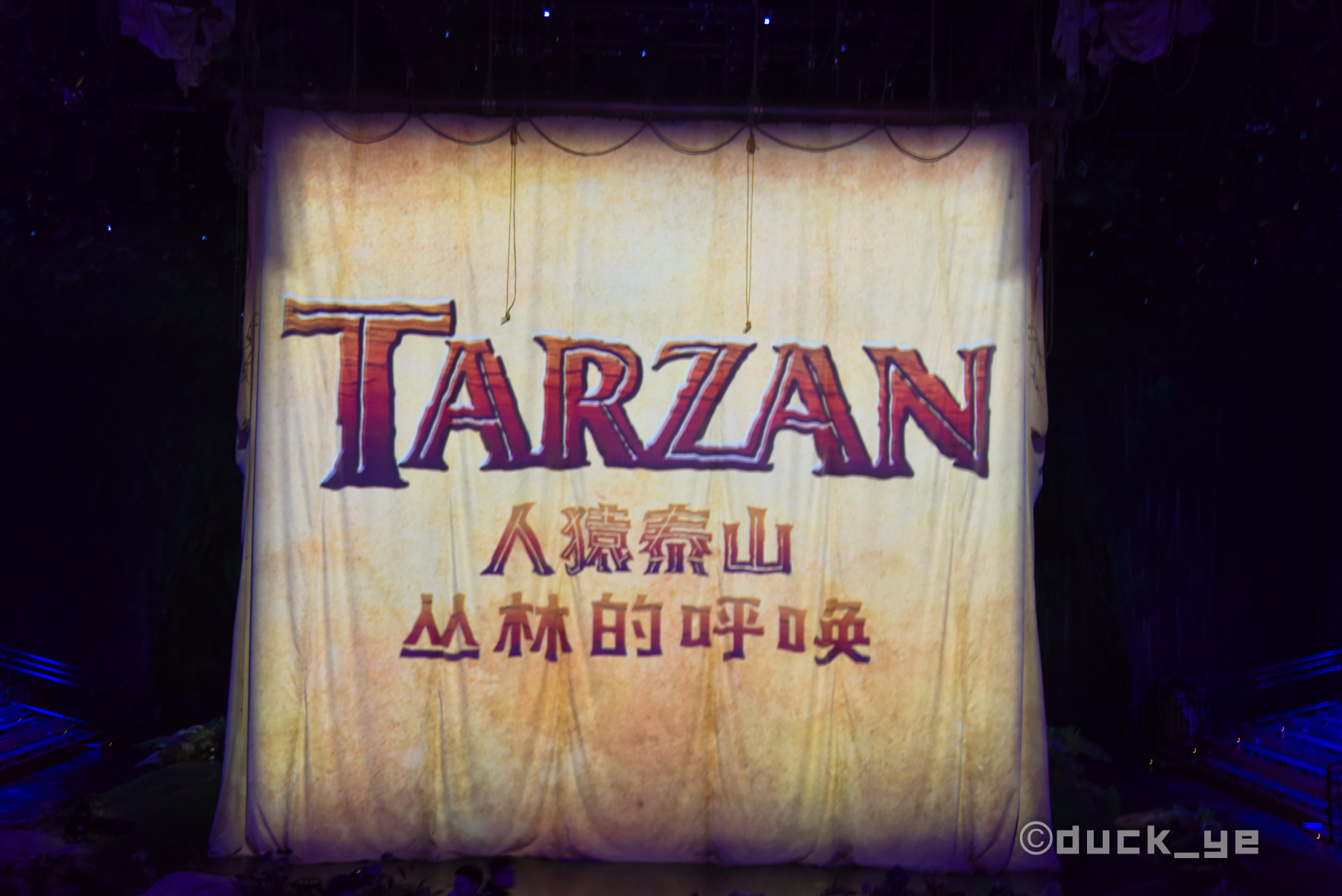 上海迪士尼两晚一天攻略,如何六日玩转上海迪士尼