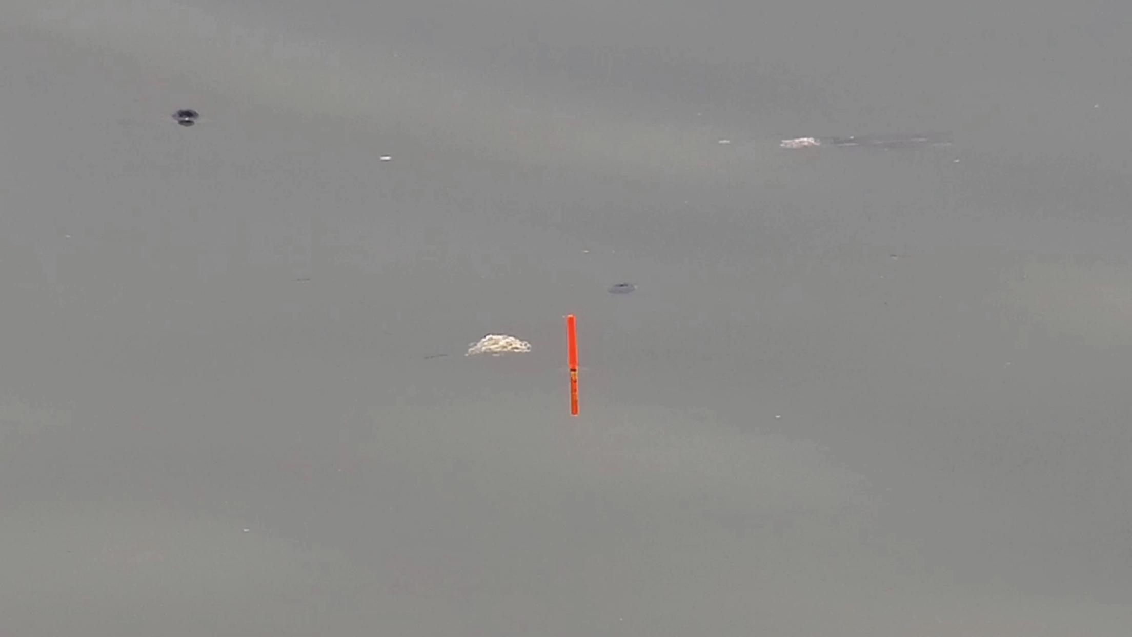 调平水时双钩压不下目数该怎么办,浮漂空钩调平水钓二目视频