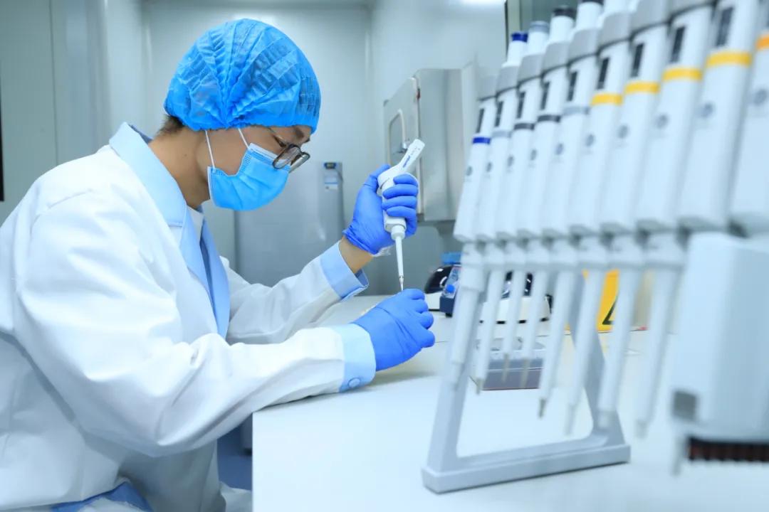 南翔精致生活视频,南翔高端美食